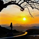 다순구미 이미지
