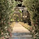 스튜디오 134-8 | 수원웨딩홀 라 뷔 포레 (구 호텔리츠) 26년 7월 계약 후기