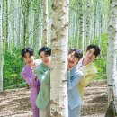 신성2민박 이미지