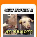 개신남 9호점 이미지