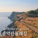 송악산 부남코지 화장실 | 송악산둘레길, 제주 서쪽 여행지 걷기 좋은 길 추천