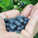 상동농장 이미지