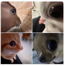 휴학후기 - 일주일에 다섯번학교가기 (3-5월)