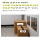 판다라이프 | 헌옷수거앱 판다헤이 내일정에맞춘수거 솔직한 후기