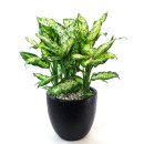 숲 동물의료센터 이미지