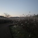 울진시장2 이미지