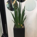 뚜레쥬르 율하점 이미지