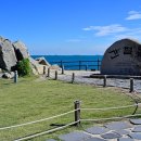 소망애견 이미지