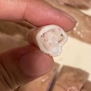 찬기농장 이미지