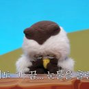 딩동댕 이미지