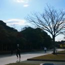 정말공원 | 오호리공원 러닝 트랙 달리고 온 후기 후쿠오카 가볼만한 곳