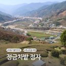 정금마을 차밭 앞 | 하동 정금차밭 정자, 10분 산책으로 보는 화개면 전경