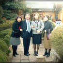 종관 Daum카페