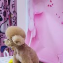 오늘도 예쁜 그루밍 이미지