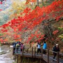 한마음후문약국 이미지