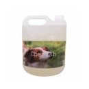 체리쉬펫 이미지