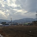 육림숯불갈비 | 2025.12.15. 친구 모임 후기: 효자동 육림숯불갈비