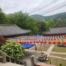 남구-25 이미지