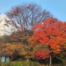 신선대 중턱 이미지