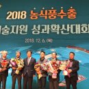 곡성멜론 이미지
