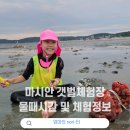 연천어촌계자율관리공동체 | 영종도 마시안 갯벌체험장 물때시간 :: 서해안 아이와 갯벌체험 하기 좋은 곳