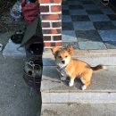 해원민박 이미지