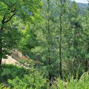 문경새재하람 이미지