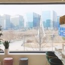 트리나네일 이미지