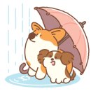 필라테스다이어리