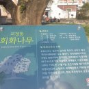사하구-04 이미지