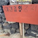 돌담툴