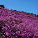 좋은세상 이미지