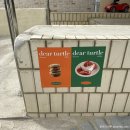 디어터틀(dear turtle) | [홍성/디어터틀] 신상 카페, 디저트 맛집 구항 디어터틀 dear turtle(가오픈 기간 3.15. ~ 4.8.)