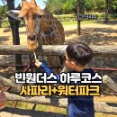 괜찮은하루 | 남호이안 빈펄리조트 숙박권 포함 빈원더스｜6세아이와 사파리 워터파크 하루 코스 후기