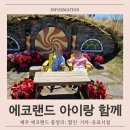 [1인가구·가족체험] 꽃소반 | 제주 에코랜드 할인 꿀팁 아이랑 기차 여행 전 꼭 알아야 할 실전 방문기