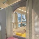 cozy mung | 충남아산 애견미용실 ‘코지멍’ 방문 후기 🐾
