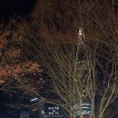 고고스브래드 | 카페고고스 메뉴 / 카페고고스 주차요금 / 피규어 카페 & 찹쌀떡 카페라니! / 카페고고스 찹쌀떡 시식후기