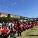 벌교초등학교 이미지