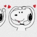 참치오일리 이미지