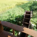 일품순두부본점 이미지