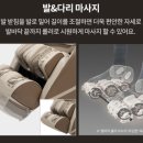 동동의자