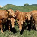 옥천헬스 이미지