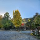 머물다삼포 이미지