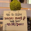 대구 동성로 디저트 카페 마마다이닝 푸딩빙수 크로플