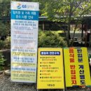 송촌꼬마김밥덕례점 이미지