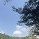 저스트스윔 이미지