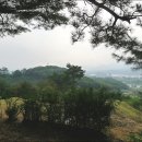 소리개농장 Daum카페