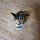 두근두근연극놀이터 | 1월 일상, 2편