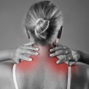 브로쥬아 이미지