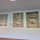 파사성 소나무 이미지